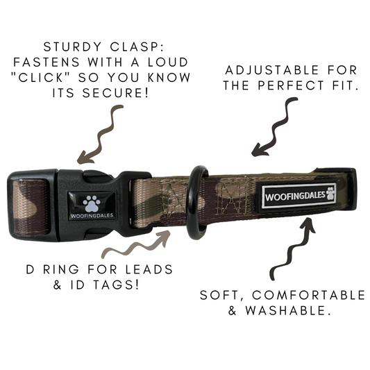 Green Camo Collar - Woofingdales.co.uk
