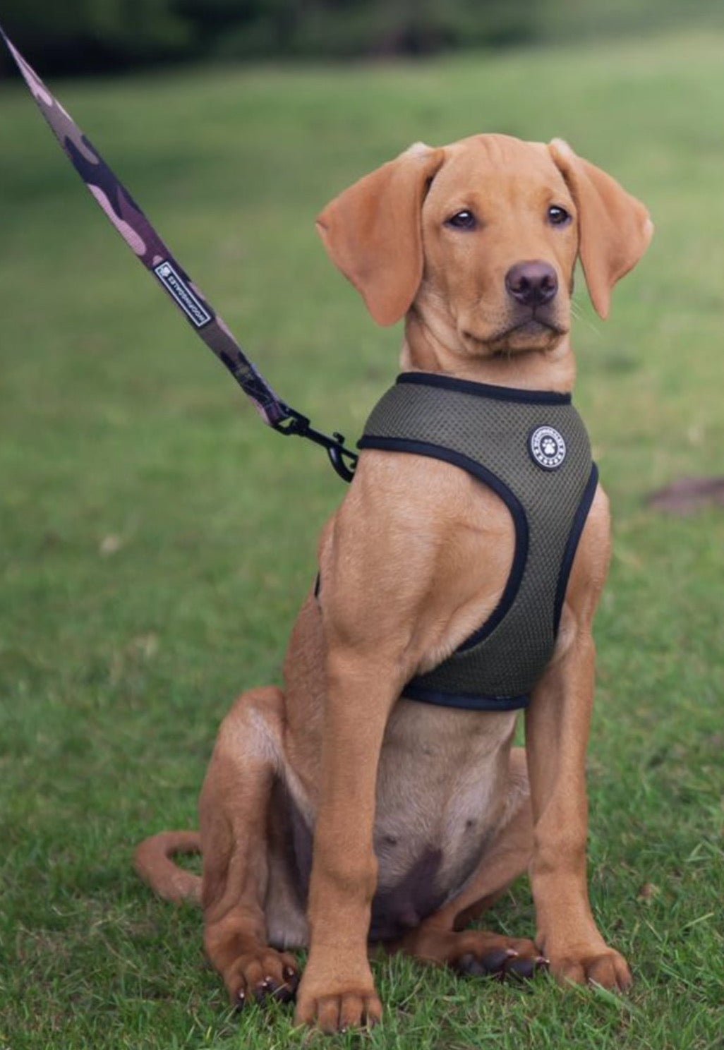 Green Camo Lead - Woofingdales.co.uk