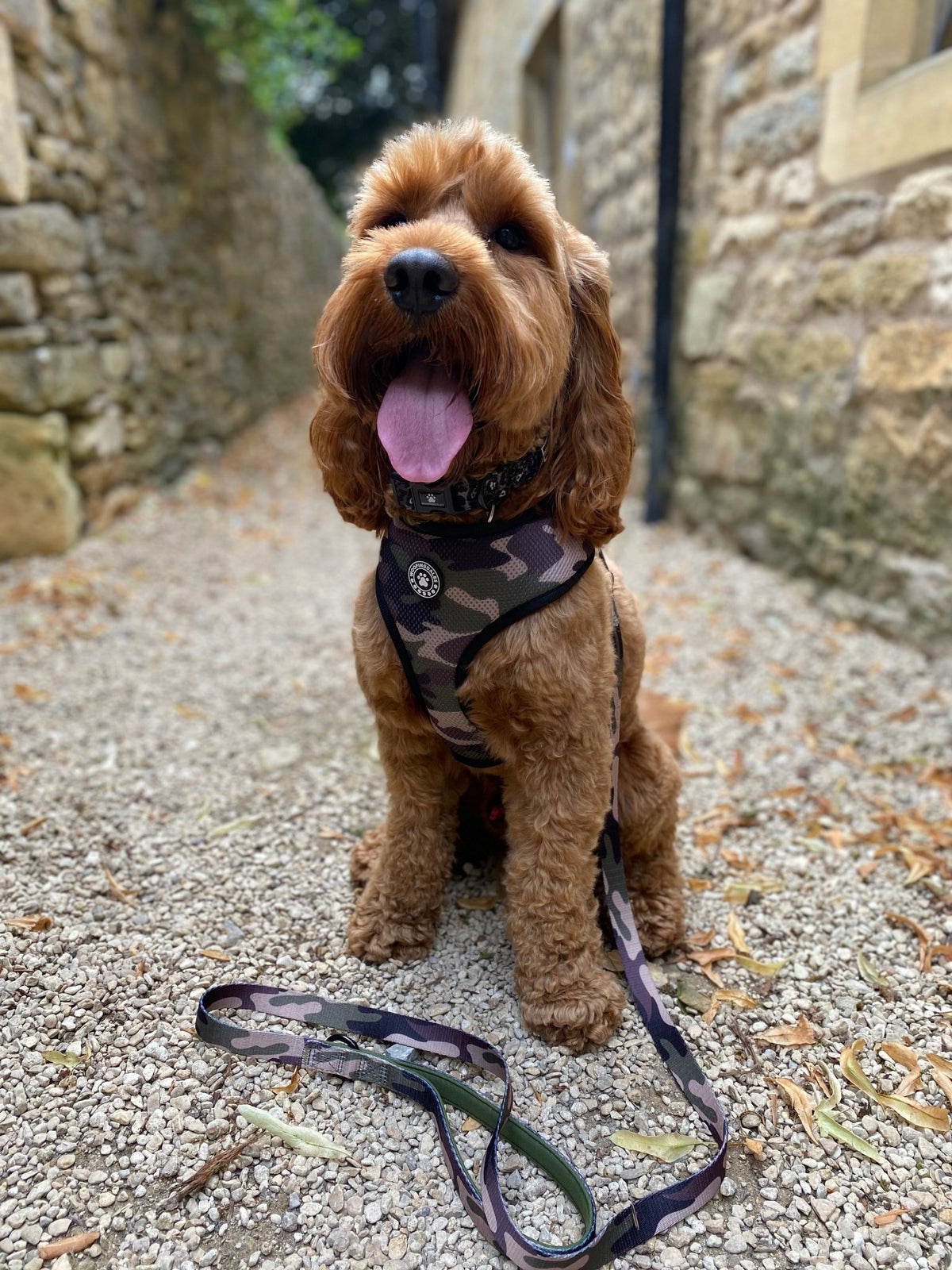 Green Camo Lead - Woofingdales.co.uk