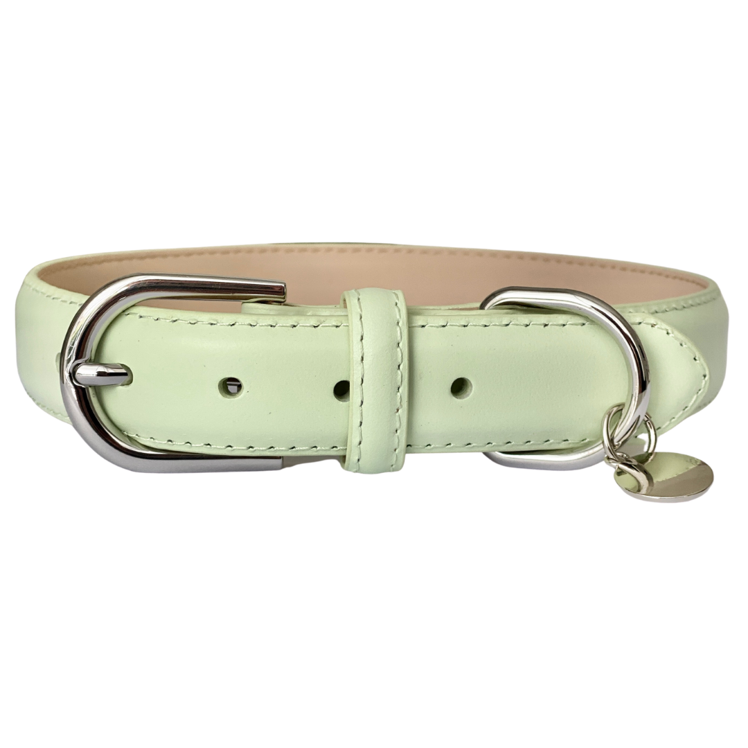 Luxury Leather Dog Collar - Green