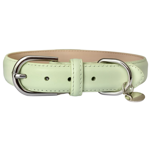 Luxury Leather Dog Collar - Green