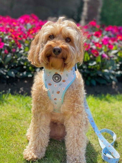 Busy Bee Adjustable Harness