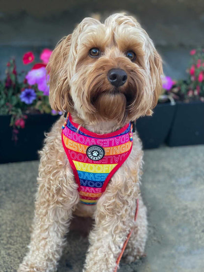 Be Kind Adjustable Harness