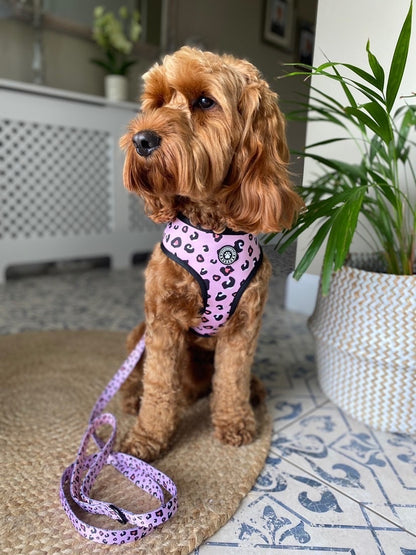 Leopard Reversible Harness