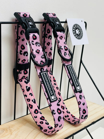 Leopard Collar - Pink - Woofingdales.co.uk