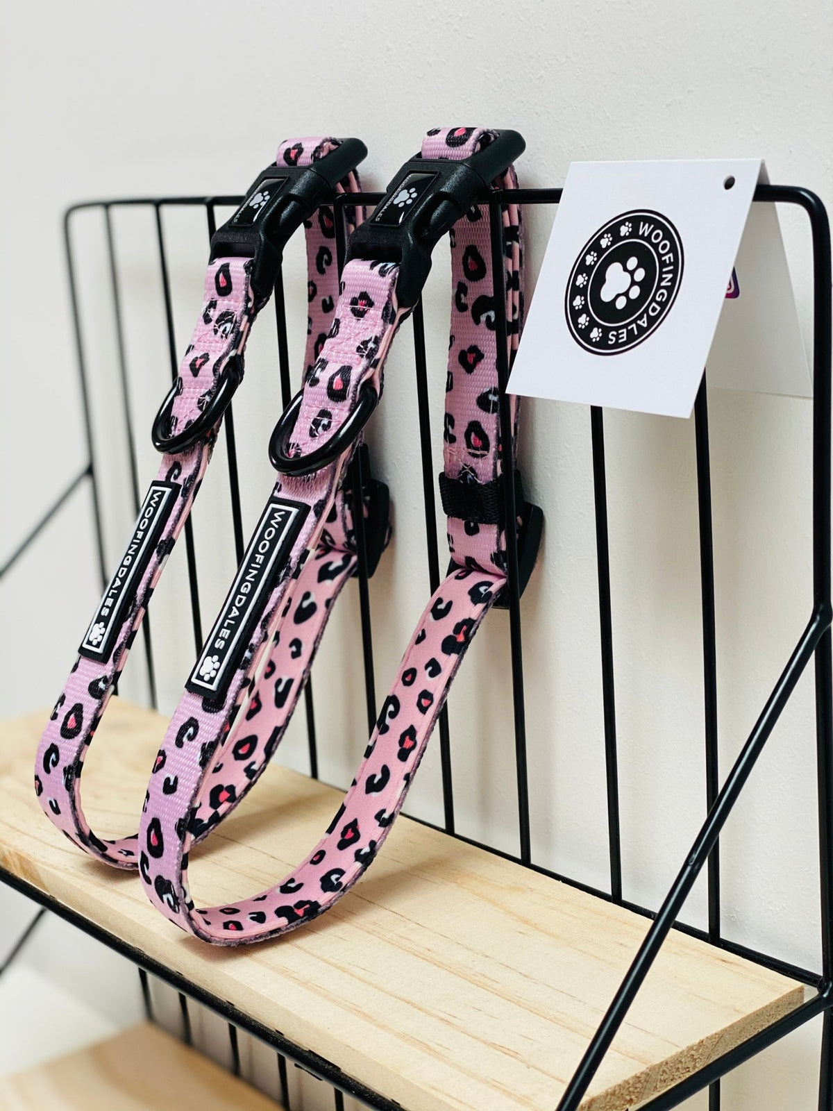 Leopard Collar - Pink - Woofingdales.co.uk