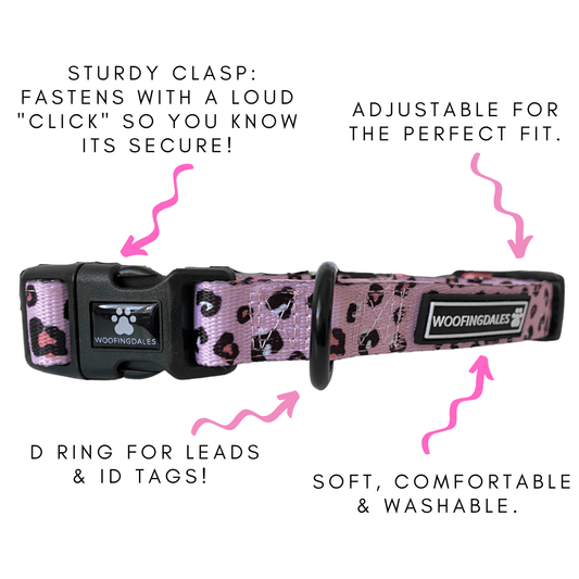 Leopard Collar - Pink - Woofingdales.co.uk