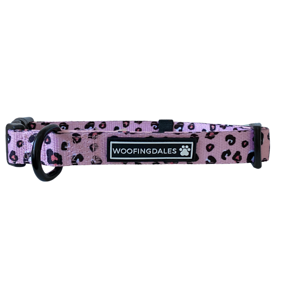 Leopard Collar - Pink - Woofingdales.co.uk