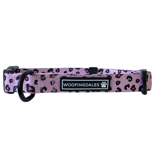 Leopard Collar - Pink - Woofingdales.co.uk