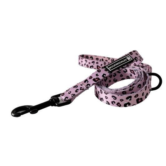 Leopard Lead - Woofingdales.co.uk