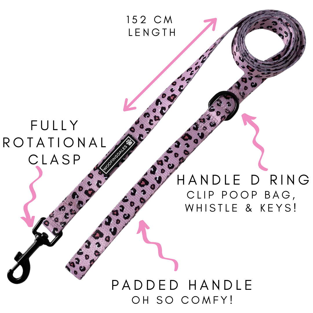 Leopard Lead - Woofingdales.co.uk
