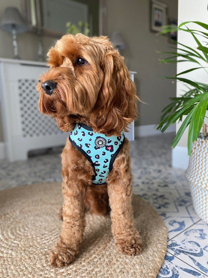 Leopard Reversible Harness - Woofingdales.co.uk