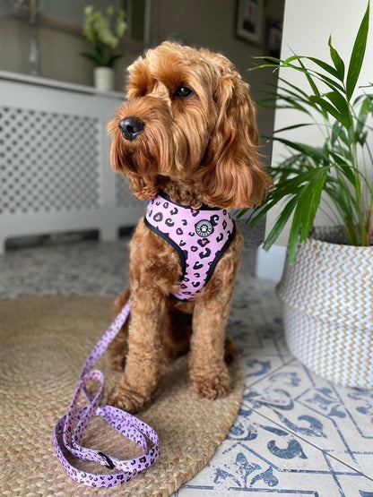 Leopard Reversible Harness - Woofingdales.co.uk