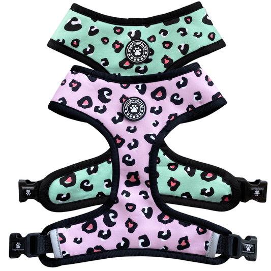 Leopard Reversible Harness - Woofingdales.co.uk